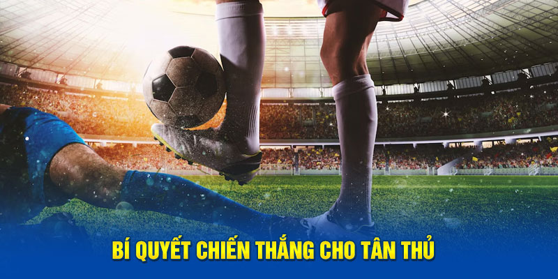 Bí quyết chiến thắng cho tân thủ