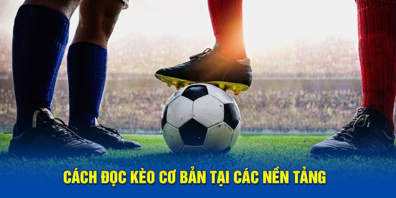 Cách đọc kèo cơ bản tại các nền tảng 