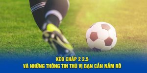 Kèo Chấp 2 2.5 Và Những Thông Tin Thú Vị Bạn Cần Nắm Rõ 