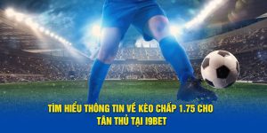 Tất Tần Tật Thông Tin về Kèo Chấp 1.75 Cho Tân Thủ Tại I9bet